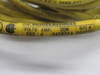 Brad Harrison 803006A09M020 Cordset 3Pin 4A 250V 2M USED