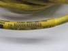 Brad Harrison 803006A09M020 Cordset 3Pin 4A 250V 2M USED