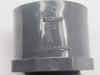 Lasco 836-010 MPT x Slip Male Adapter 1" D2464/D2467 NOP