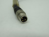 Murrelektronik MSFL0-H-RJB0.3 Cable 3 PIN .3m  USED
