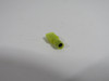Generic Insulated Female Terminal 26-22AWG .125" Tab Metal Shank Lot of 52 NOP