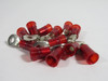 Generic Insulated Ring Tongue Terminal 22-18AWG #10 M5 Stud Lot of 12 NOP