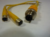 Turck VBRS-4.4-2PKG-3M-0.3/0.3 Molded Twin Junction Cordset USED