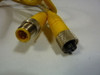 Lumberg RST4-RKT4-602/2M Cable USED