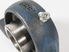 RHP SL1.1/2 Pillow Block Bearing 2-Bolt 1-1/2" Bore SHELF WEAR NOP