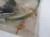 Brad Harrison 1R3007A20A120 Mini-Change 3P 90D Male Receptacle 12" BAG DMG NWB