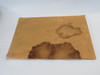Gorman-Rupp 2985G-19090 Cover Plate Gasket Lot of 2 NOP