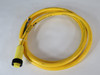 Brad Harrison 103000A01F060 3P Female Straight Cordset 6' SHELF WEAR/DIRT NOP