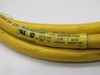 Brad Harrison 103000A01F060 3P Female Straight Cordset 13A 600V 5.5' USED