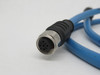 Turck RKCV-RKCV-FBY49BU-1.5M/5D Field Bus Cable M12 Female to Female 1.5m L USED