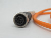 Balluff BCC0871 Welding Cable M12 Female to Male 250V 4A 2m Cable USED
