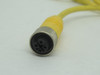 Balluff BKS-S19-3-S19M-PU-02.0 DC Connector Cable M12 Male-Female 2m Cable USED