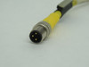 Balluff C49GNE-49-TY-003M-2 Sensor Cable 3-Pin Male to Female 9" Cable USED