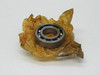 SKF RLS-10 Deep Groove Ball Bearing 2.75" OD 1.25" ID 0.6875" W DAMAGED BOX NEW