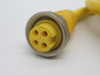 Balluff BCC07YW Double-Ended Cordset 4-Pole Male/Female 7/8" Straight 15m USED