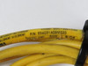 Woodhead 884031A09M020 Double-Ended Cordset 250V 4A USED