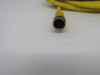 Allen-Bradley 889P-F4AB-10 Ser B Pico Cable 4P 30A 30VDC@4A *Cut Cable* 4m USED