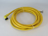 Molex 105001A01F120 Single-Ended Cordset 5-Pole 8A 600V 143" Length USED