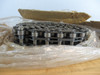 Generic RF2060R Double Pitch Roller Chain 80-Link 1.5" Pitch 10' L DMG BOX NEW