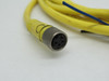 Allen-Bradley 889P-F4AB-5 Series B Cable 4P 30VAC/DC 4A 3m Length USED