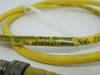 Woodhead 443030A10M006 Connector Cable 3-Pin 4A 60VAC 75VDC 0.6m L USED