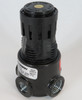 Wilkerson R03-02-000 Mini Pressure Regulator w/o Gauge 1/4" NPT 300 psi NOP