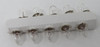 Standard B3.5/CL/2.47V/0.3A/P13.5S/STD Miniature Light Bulb 10-Pk BOX DAMAGE NEW
