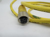 Lumberg RST5-RKT5-612/4FT Sensor/Actuator Cable 5-Position M/F 4' Length USED