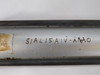 Numatics S1AL15A1V-AAA0 Pneumatic Cylinder 2" Bore 15" Stroke SHELF WEAR USED