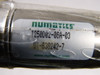Numatics 1250D02-06A-03 Magnetic Double Acting Cylinder 1-1/4" Bore 6" Str NEW