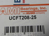 AMI UCFT208-25 Flange Bearing ! NEW !