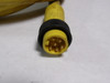 Brad Harrison 116020A01F060 Cable Mini-Change Cordset 6-Pin USED