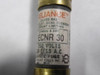 Reliance ECNR-30 Time Delay Dual Element Fuse 30A 250V USED