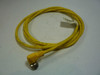 Lumberg RKWT-4-602/2M Cordset 4 Pin USED