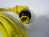 Pepperl+Fuchs V1-G-YE2M-PVC-V1-W Cable 300V 3A USED