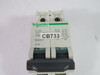 Schneider Electric 60139 Mini Circuit Breaker 240V 2-Pole 4A USED