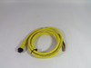 Allen-Bradley 889N-U4AFC-6F 4P QD Cordset 6' 600V 10A USED