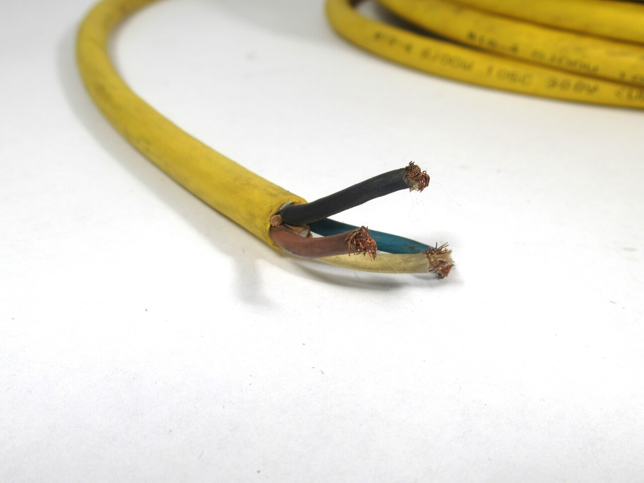 Brad Harrison 804000C02M100 Cordset 4 Pin 10M USED