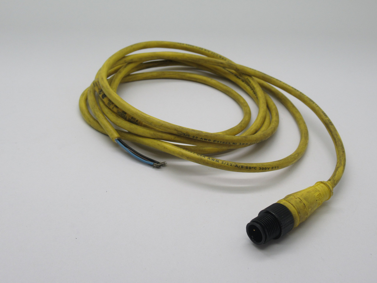 Brad Harrison 803006A09M020 Cordset 3Pin 4A 250V 2M USED