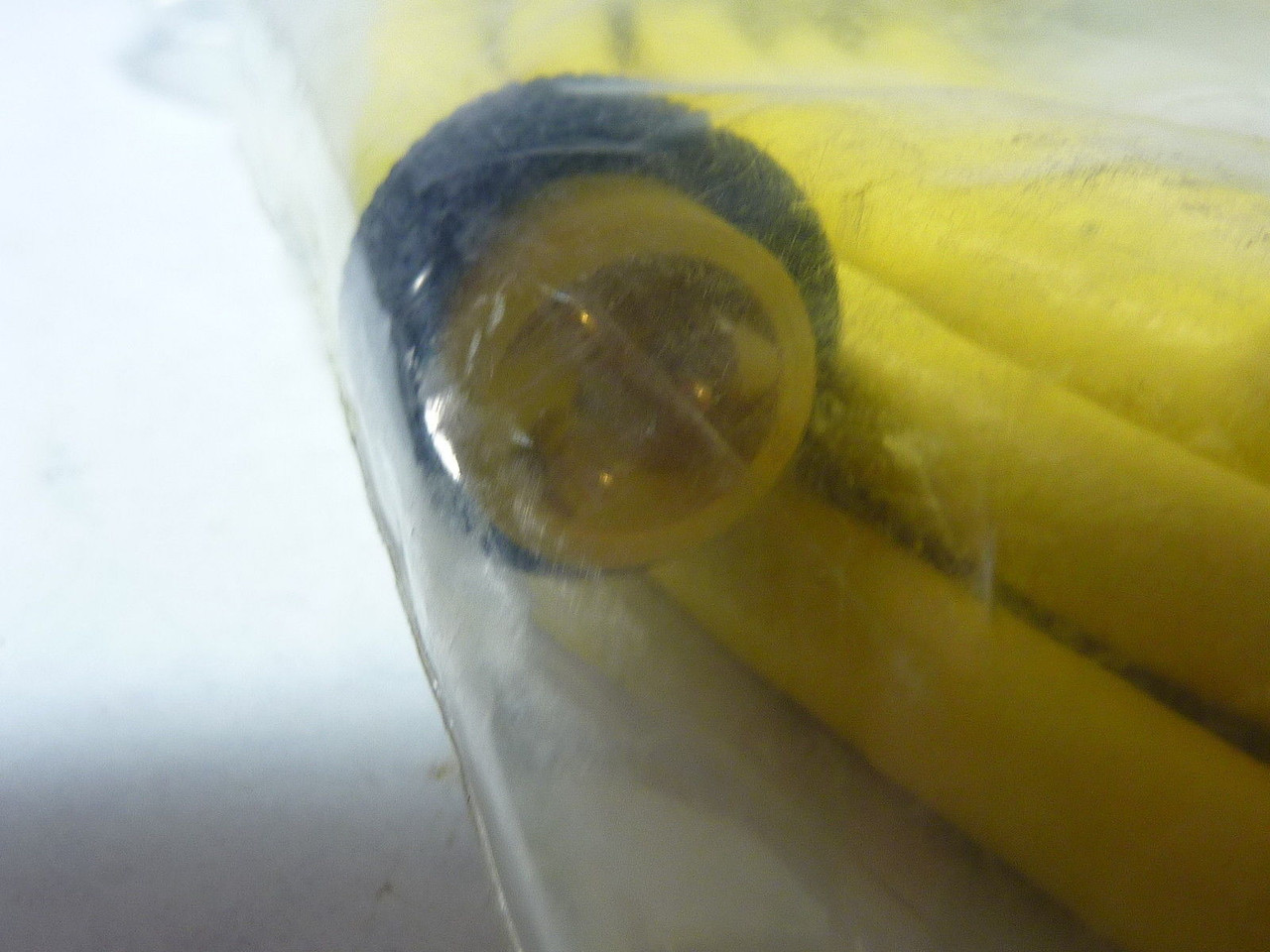 TPC 84820 Cordset, Male 3 Pole 20ft NWB