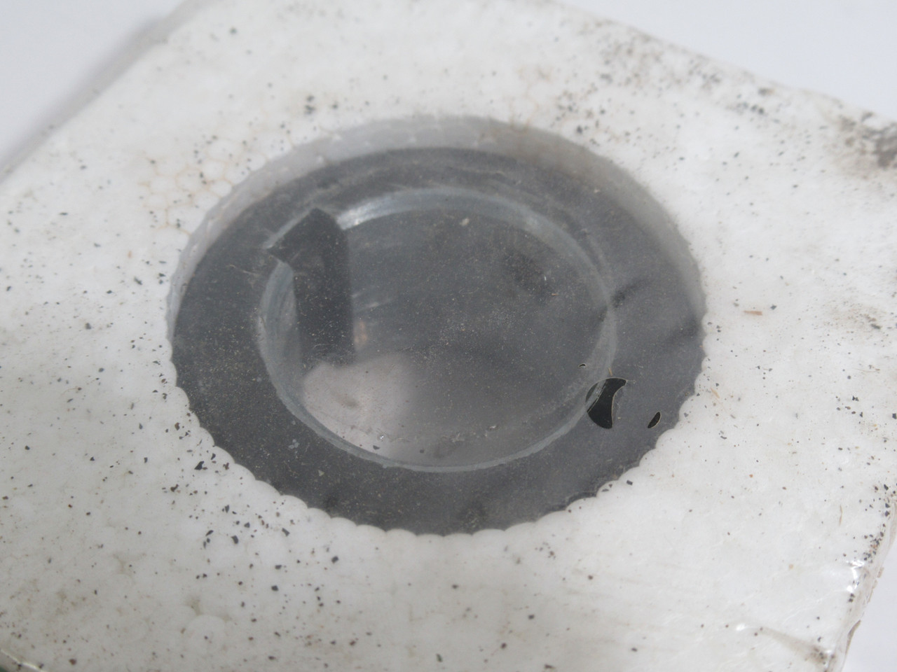 Lovejoy 4J-1 Coupling Flange 1"Bore 7/8"LTB 2-7/16"OD ! NEW !