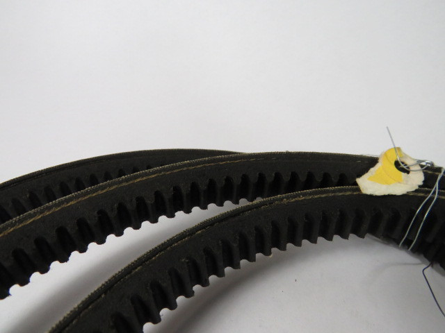 Thermoid BX77 Cogged Belt 80" Long .66" Wide .41" Thick ! NOP !