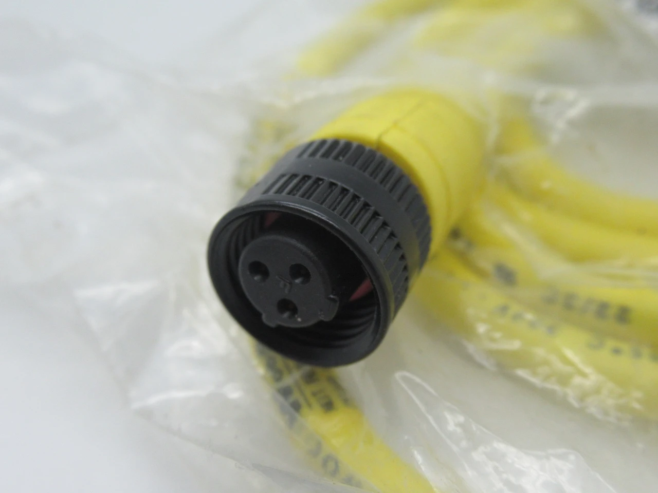 Woodhead 703000D02F060 Single-Ended Cordset 3P Female M12 6' L HOLEY BAG NWB