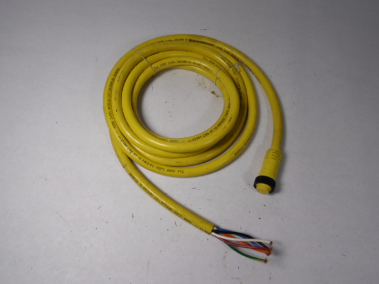 Brad Harrison 206000A01F120 PVC Cordset 6P *Cut to 143"* 1300070026 USED