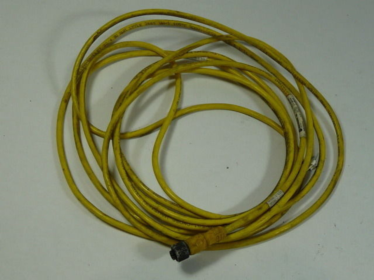 Allen-Bradley 889D-F4AC-5 Cable Assembly 4 Pin USED