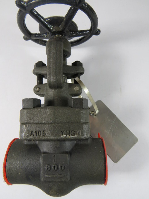 DongKang SA105N-YNGN Globe Valve 1" Port SA105N Body HF13CR 136.2 Bar USED