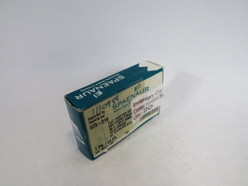 Spaenaur 373-219 SS Flat Hex Socket Screw M8x1.25Px25mm 20-Pack ! NEW !