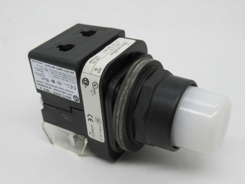 Allen-Bradley 800H-QRBH2W Ser G Push Button 12-130V White Extended 1NO 1NC USED