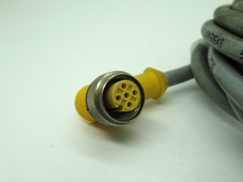 Turck WK4.5T-6 Single Ended Cordset Angled M12 10FT *Cut Cable* USED