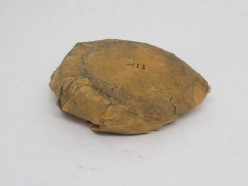 Timken T199 Thrust Tapered Roller Bearing 2-15/16" OD 2" ID 5/8"W SHELF WEAR NOP